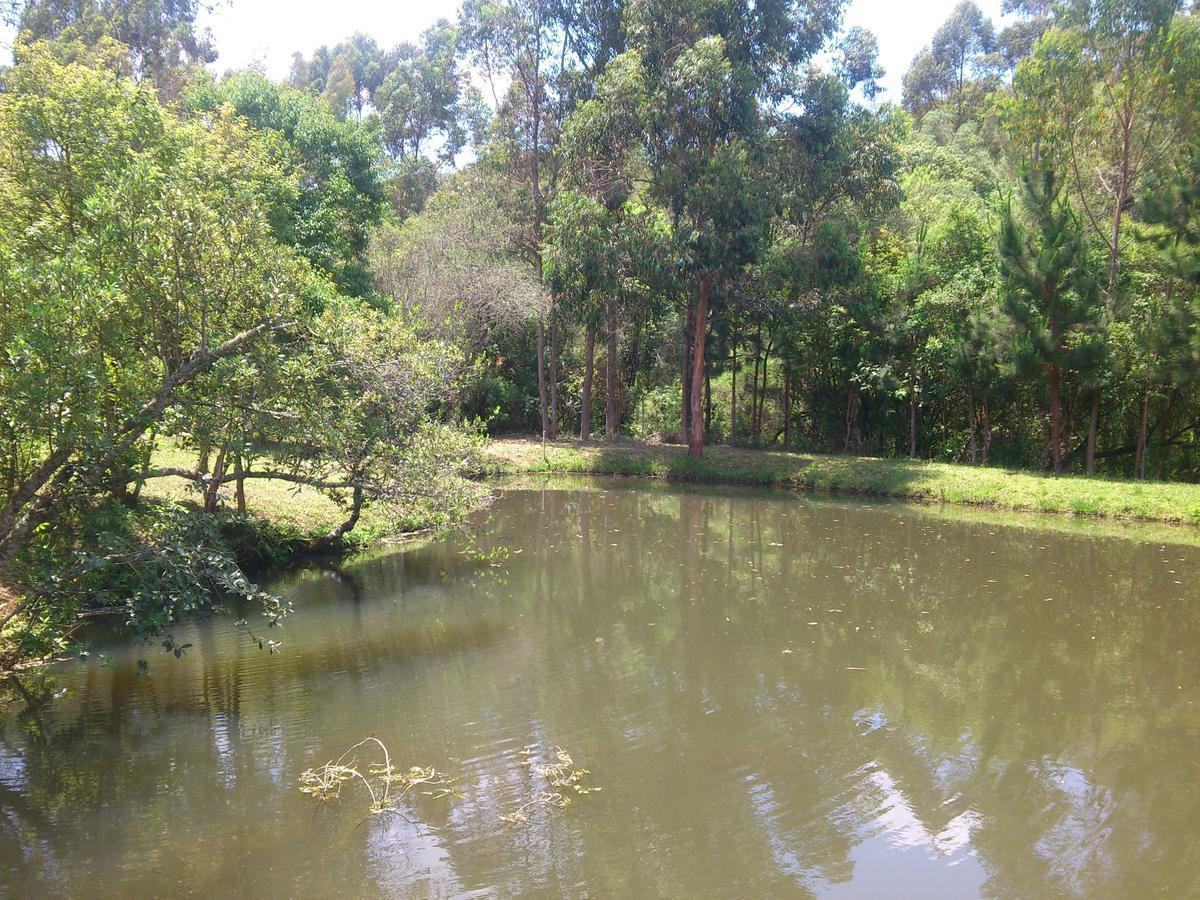 Pousada Ilhas Do Sol Senador Amaral Rum bild